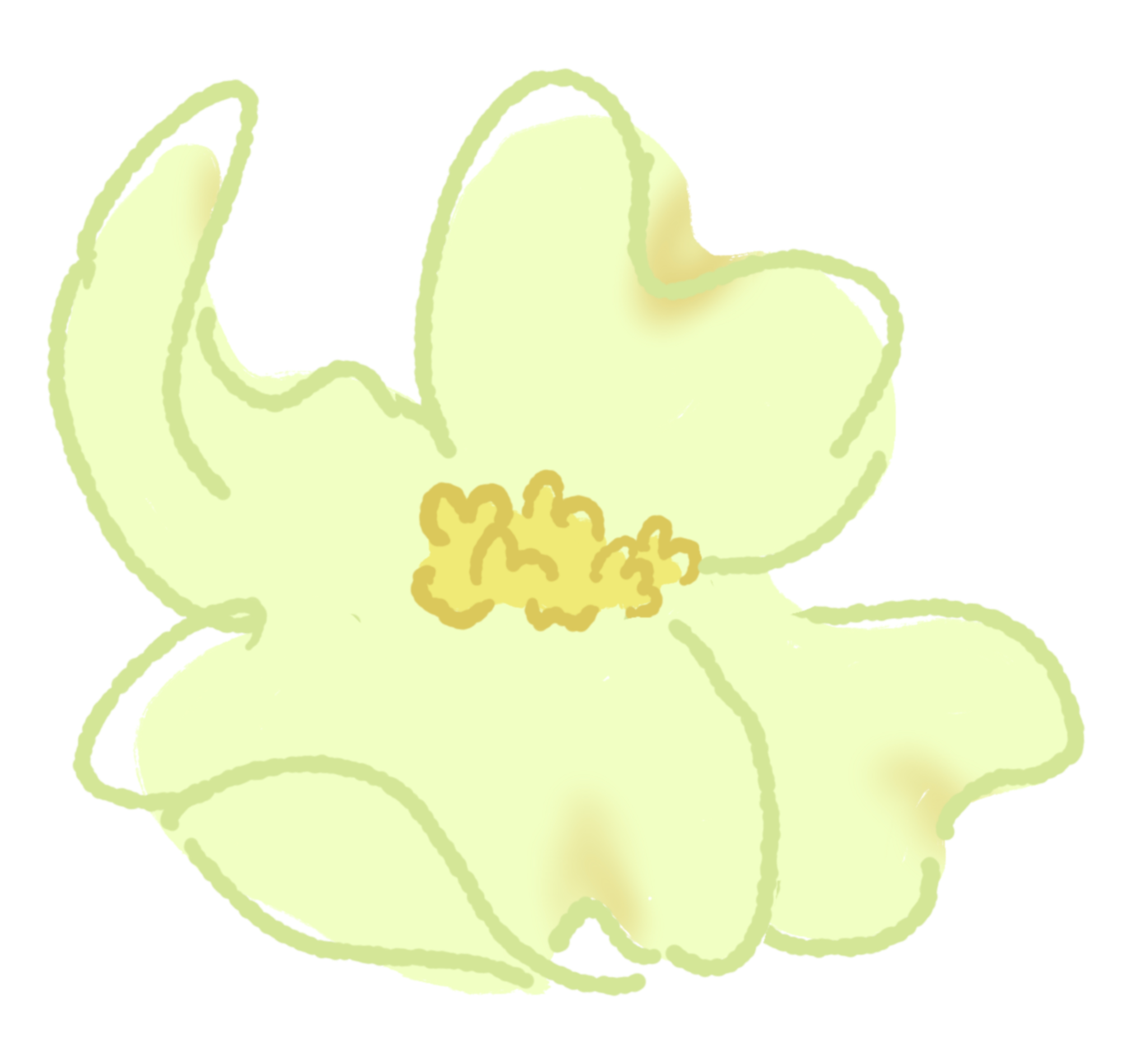dogwood-1